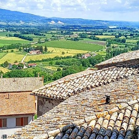 Vila Domus Claudia Castiglione In Teverina Exteriér fotografie